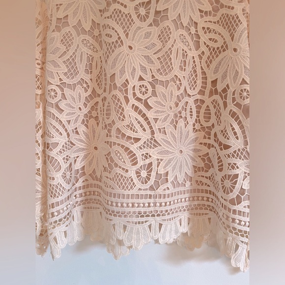 Beautiful Lace & Crochet Top - Picture 8 of 8